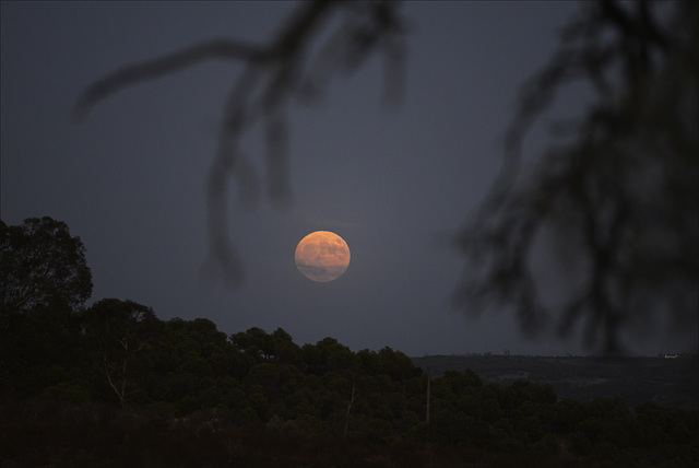 Penedos, Blue moon night