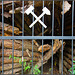 HFF - Verschlossener Stollen
