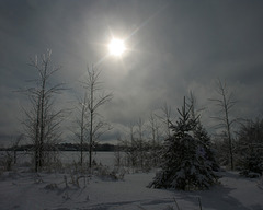 parc des méandres