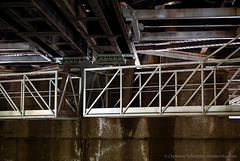_DSC2885