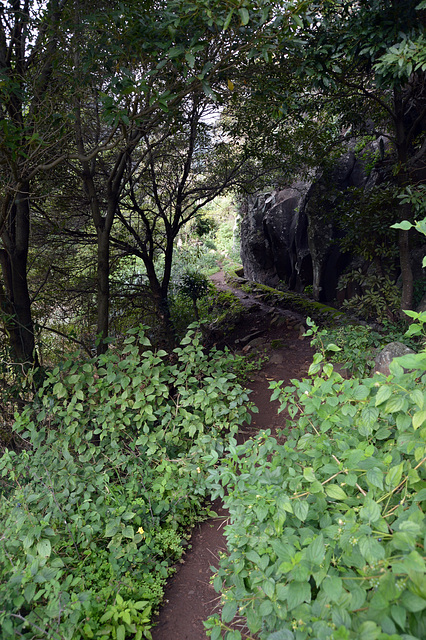 Die sanfte Levada I