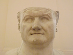 Detail of a Bust of Vespasian in the Naples Archaeological Museum, July 2012