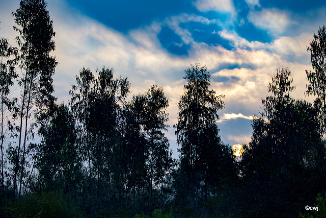 Dawn over Windsor Township, Hoskote, Bangalore, India