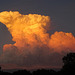 Cumulonimbus clouds in the east reflecting the sunset in the west