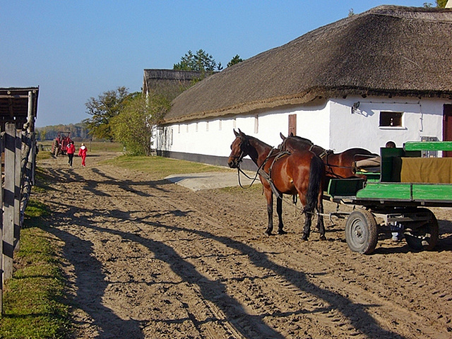 Bugaci gazdaság