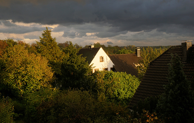 Blick zum Nachbarn