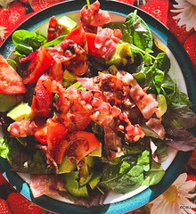 Bacon and Avocado salad