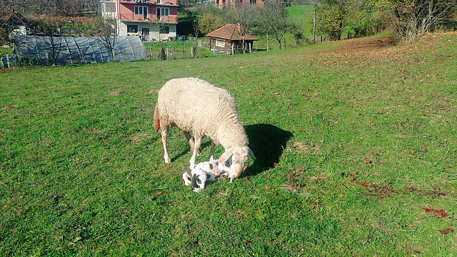 Just born