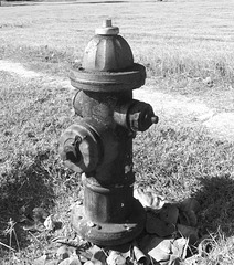 Oasis hydrant