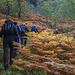 Wandern im Herbstlichen Valle Maira