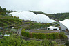 Biodomes At The Eden Project