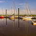 #13 - Ecobird - Masts and Moorings - 34̊ 0points