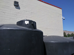 1550 gallon tank