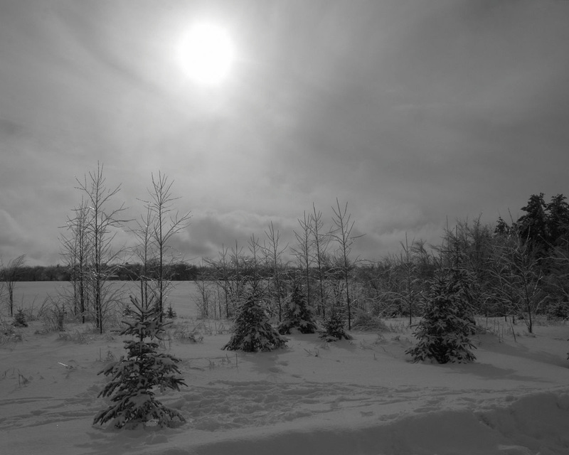 parc des méandres