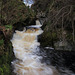 Dorback Falls