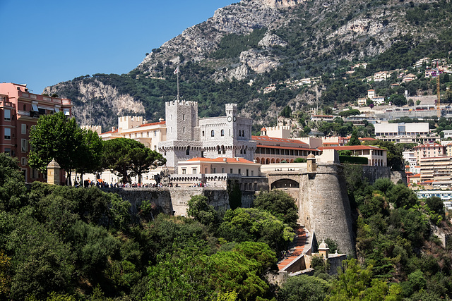 MONACO: Le Palais 01.