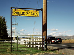 Public Scales