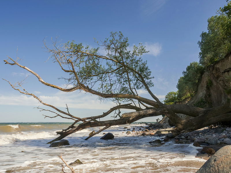 gefallen - Hindernisse beim "Strand"spaziergang