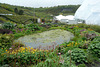 The Eden Project