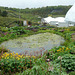 The Eden Project