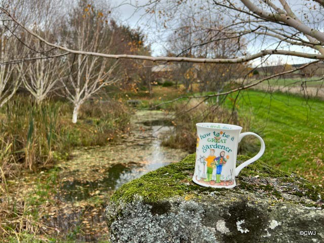 How to be a Great Gardener!