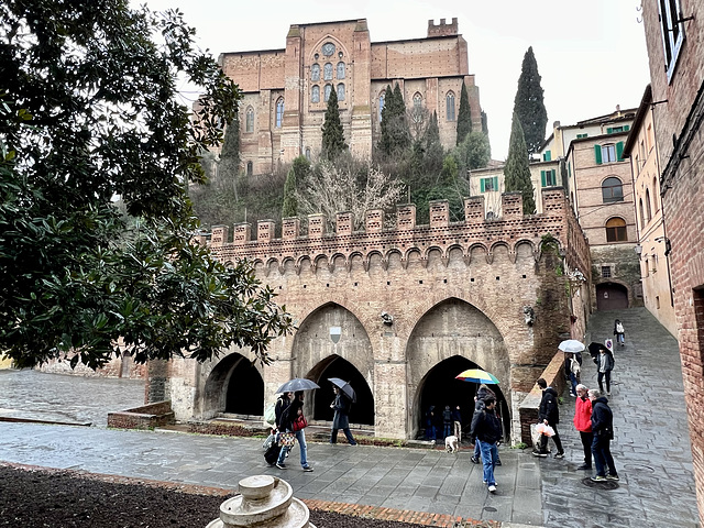 Siena 2024 – Fontebranda