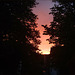 Morgenrot