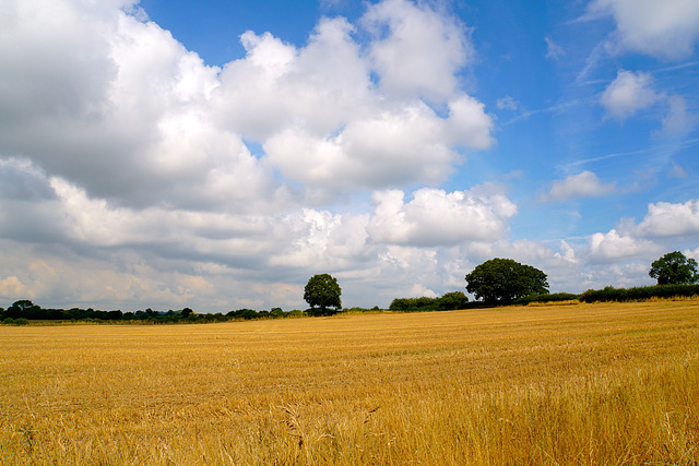 Summer clouds over Gnosall