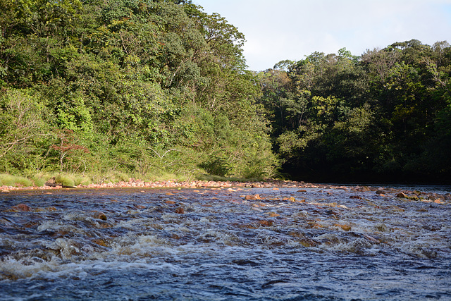 Venezuela, Rapids on the River of Churun