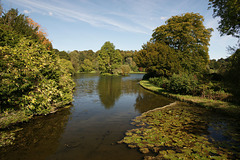 River Stour At Stourhead