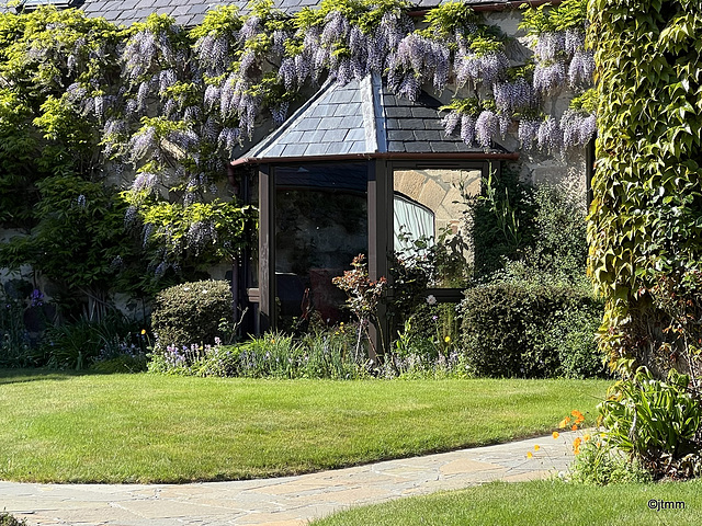 The Wisteria has taken over!