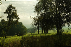 Herbststimmung