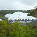 The Eden Project