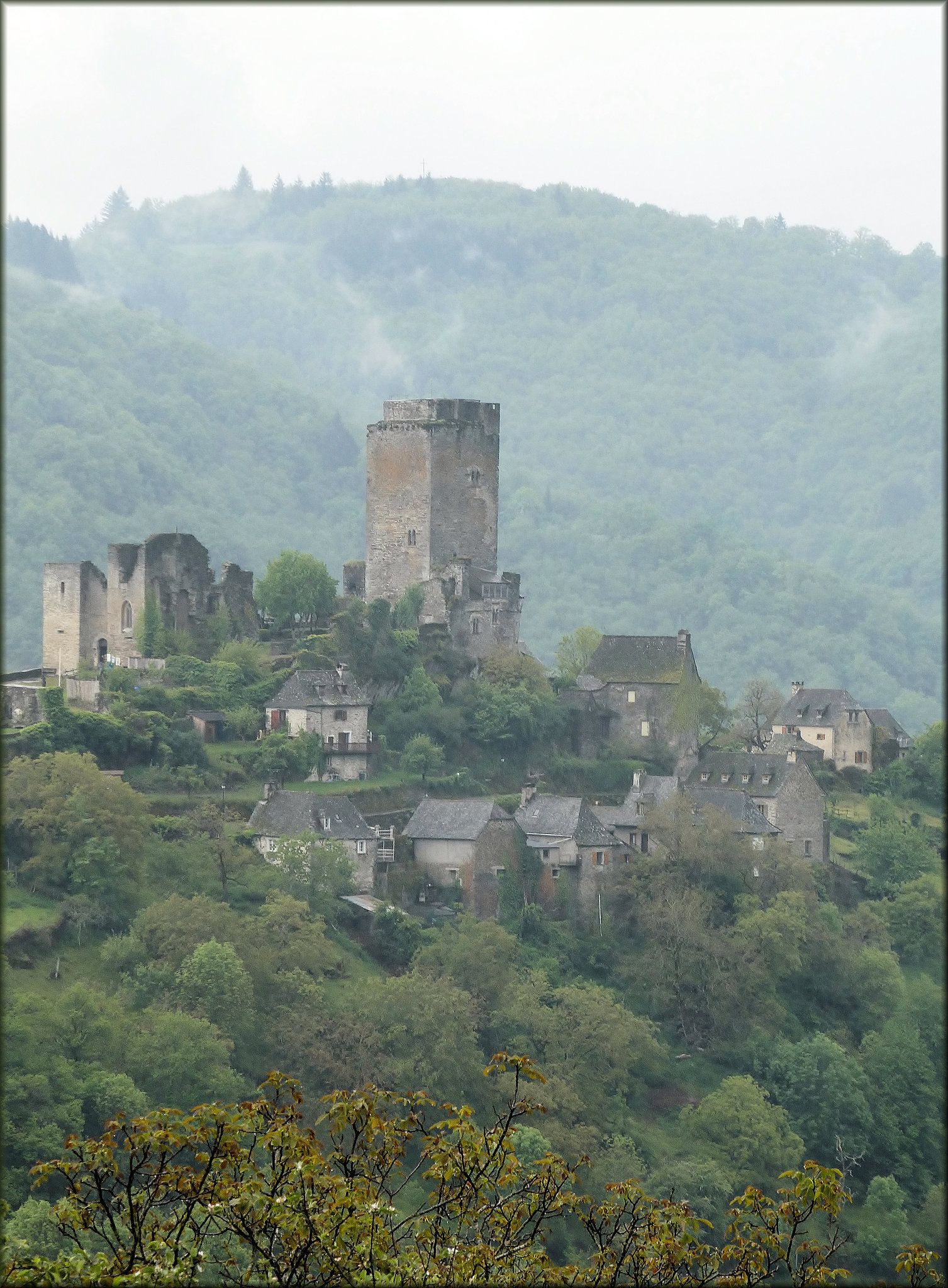 Lacroix-Barrez (12) 21 mai 2019. Château de Valon.