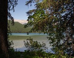 Montana Glacier NP Bowman Lake  (#0212)