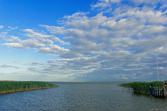 am Saaler Bodden bei Ahrenshoop (© Buelipix)