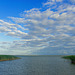 am Saaler Bodden bei Ahrenshoop (© Buelipix)