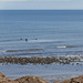 Three tired swimmers coming ashore