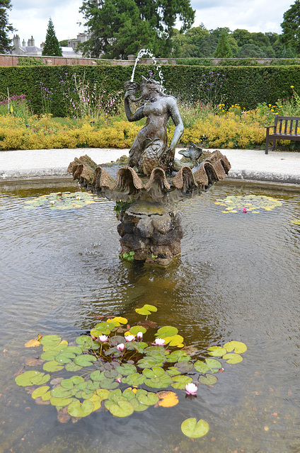 Powerscourt Gardens, Fountain with Lotuses