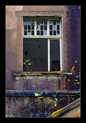 Sterbecker Tal 2 (7)