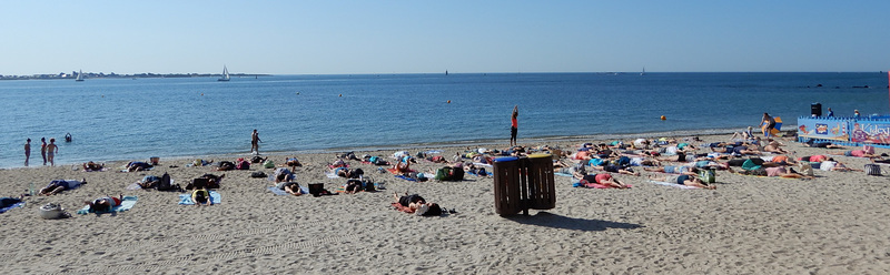 quand la canicule arrive,