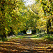 Clock House Lane, Keele