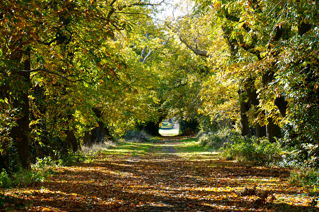 Clock House Lane, Keele