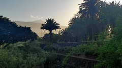 Teide desde el parque Taoro