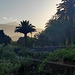 Teide desde el parque Taoro