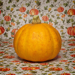 Still life with Squash