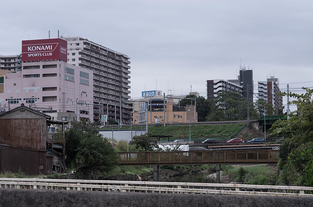 Multiple bridges