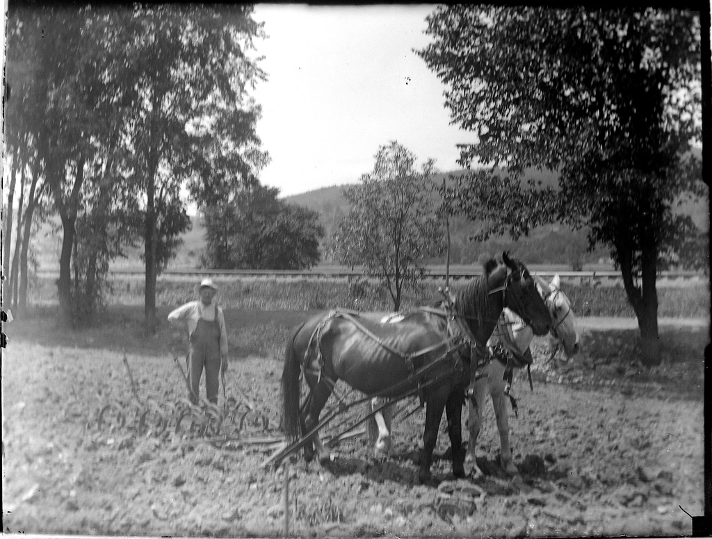 Ploughing the Land