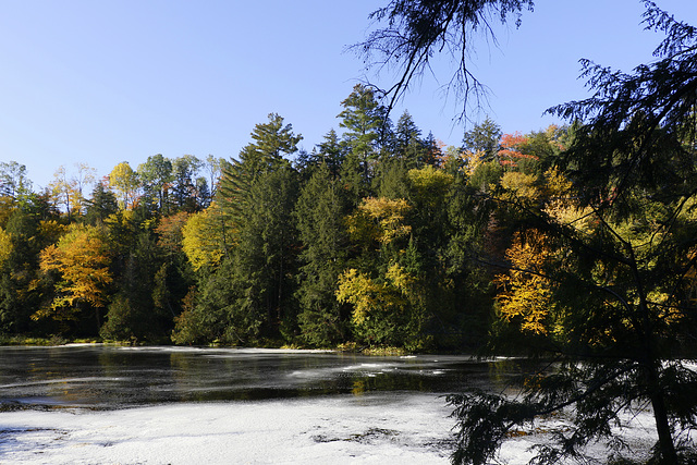 Tahquamenon River