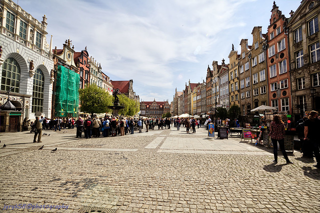 Długi Targ (11)